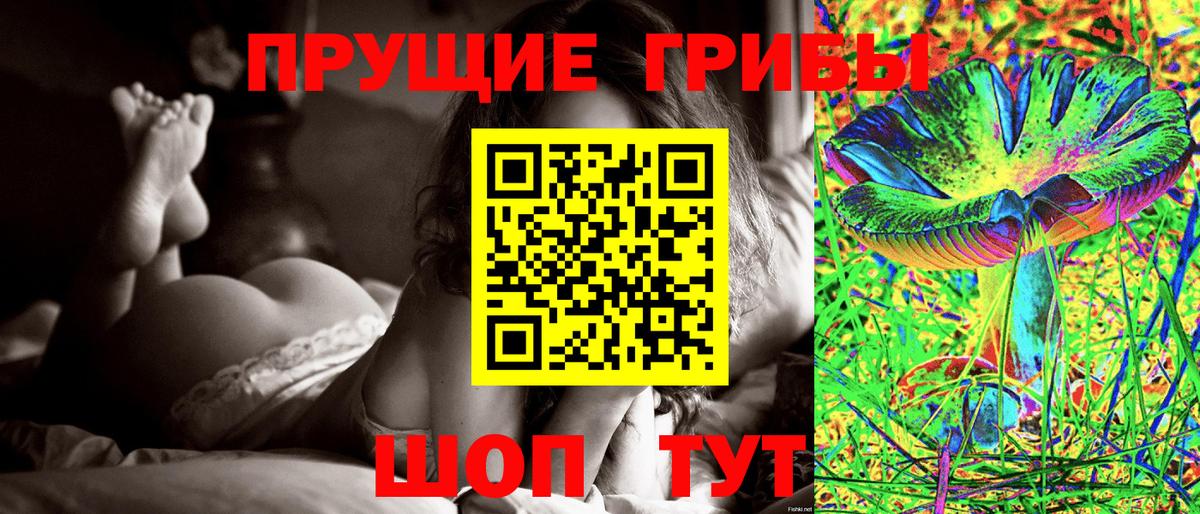 Галлюциногенные грибы Psilocybine cubensis  Псилоцибиновые грибы MAGIC MUSHROOMS  Ростов-на-Дону  Вход с VPN 